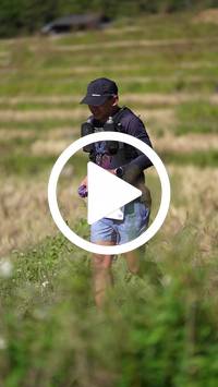 BIB:  <button type="button" onclick="openModal(26787390)" class="btn btn-primary btn-sm float-right" data-toggle="modal" data-target=".modal-high-quality">
                <i class="fa fa-download"></i> Download
                </button>